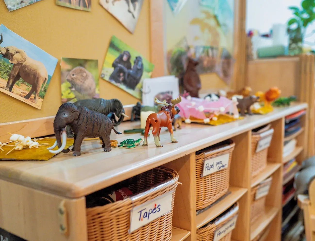 Neatly arranged toys on a shelf in a preschool classroom.
